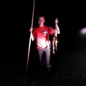 Meet your Posher, Ivy